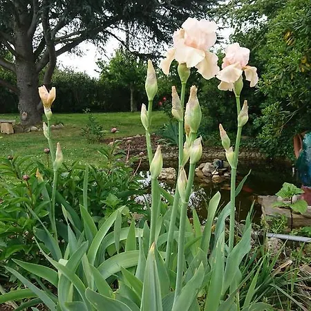 לינה וארוחת בוקר La Blanc (adults Only) *