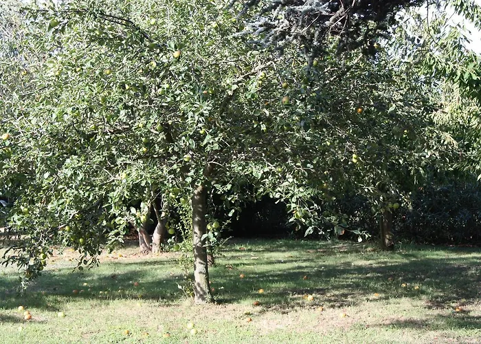 Bed & Breakfast La Blanc (adults Only) *