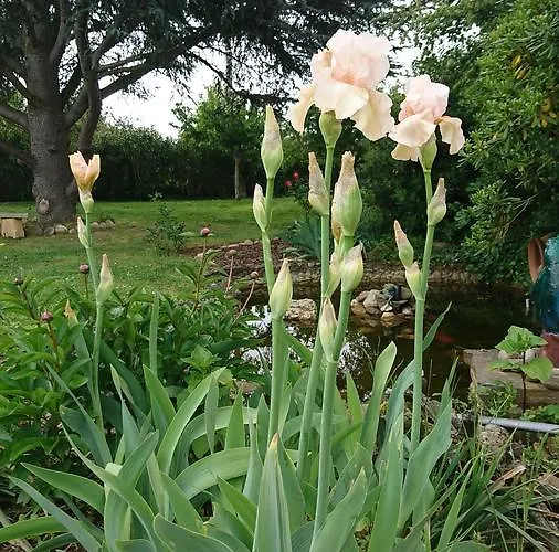 Bed & Breakfast La Blanc (adults Only) *